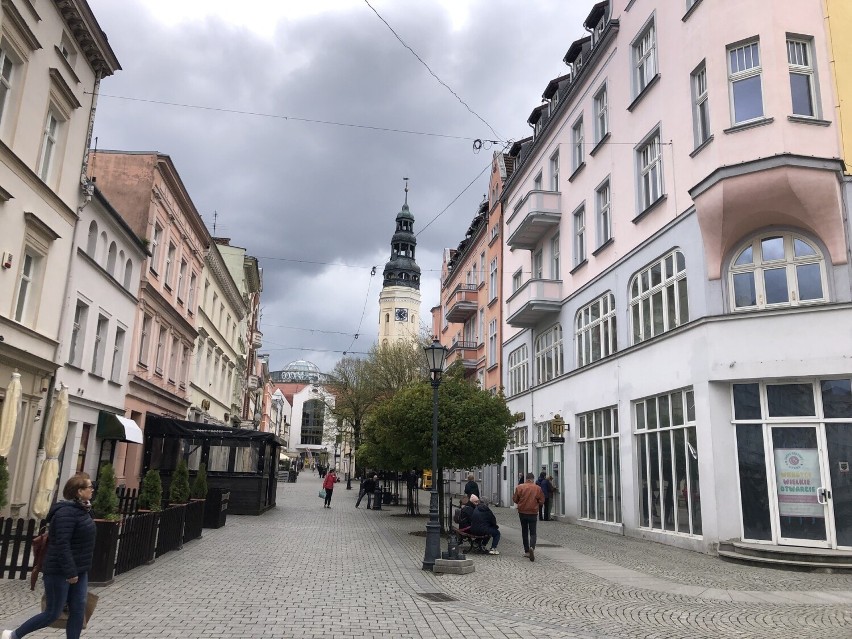 Kwitnące wiśnie ozdobne wokół pomnika Bachusa oraz przy...