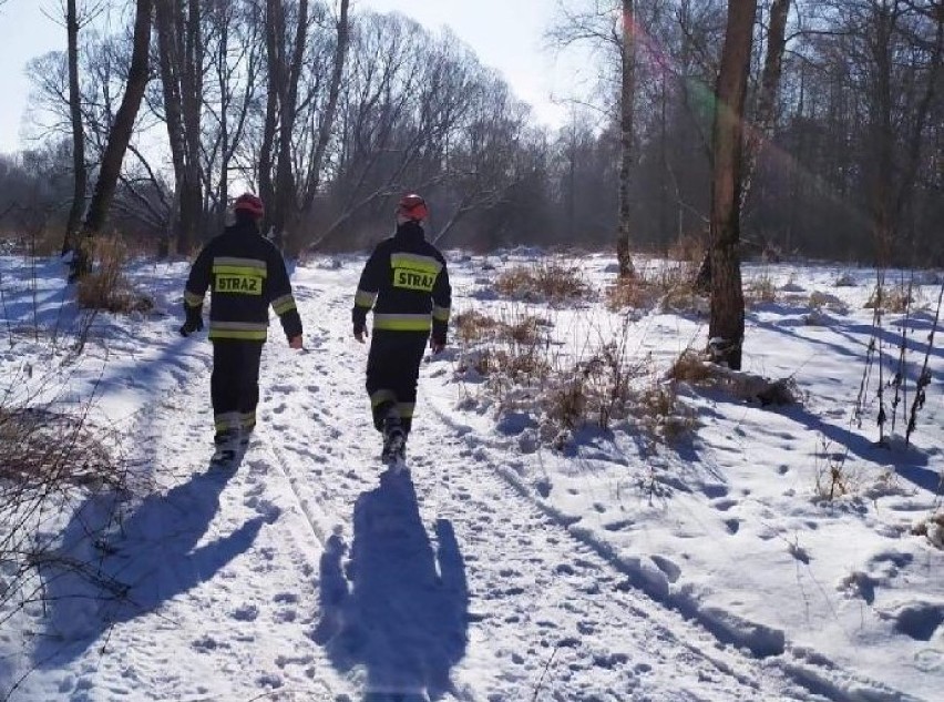 Trwają poszukiwania zaginionej mieszkanki Kęt Kseni Wysogląd z udziałem policji, strażaków, specjalnej grupy z psami i strażników miejskich