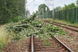 Opóźnienia na kolei z powodu wichur. Na linii z Katowic do Lublińca wiatr powalił drzewo