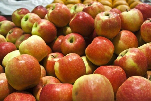 Caritas Diecezji Ełckiej rozdała 361 ton jabłek