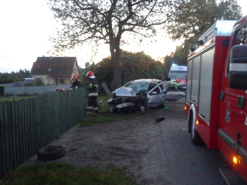 Wypadek w Rozpędzinach. Renault clio uderzyło w drzewo. Nie żyje 26-letni kierowca