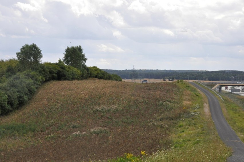 Swarożyn, działka rolna