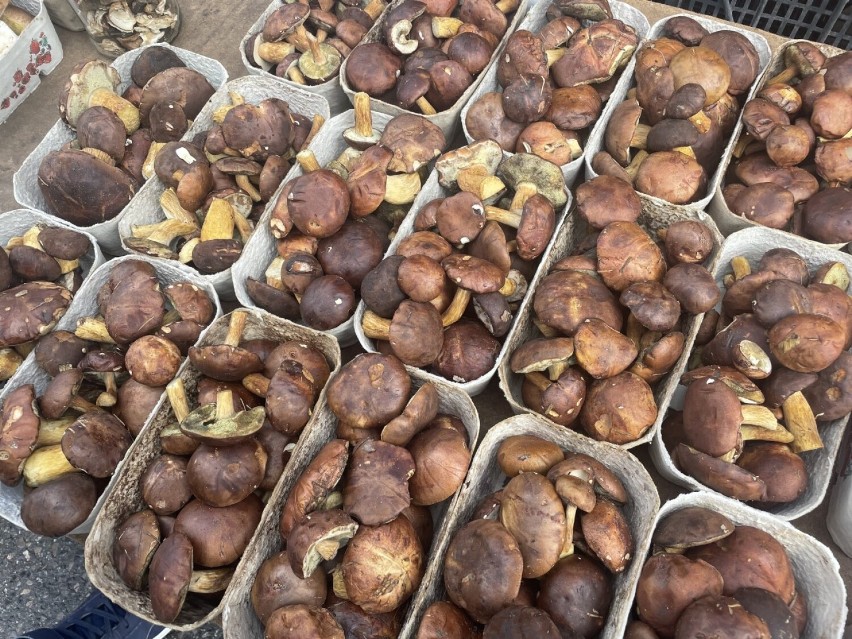 Mnóstwo grzybów i innych wspaniałych darów jesieni na hali targowej w Rzeszowie 