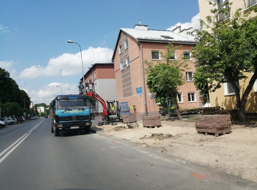 Rewitalizacja zieleni w Kraśniku. Trwają pracę wzdłuż Al. Niepodległości (ZDJĘCIA)