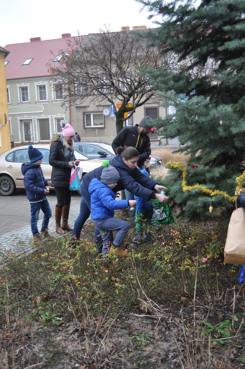 Mieszkańcy ubrali choinkę na dolskim rynku