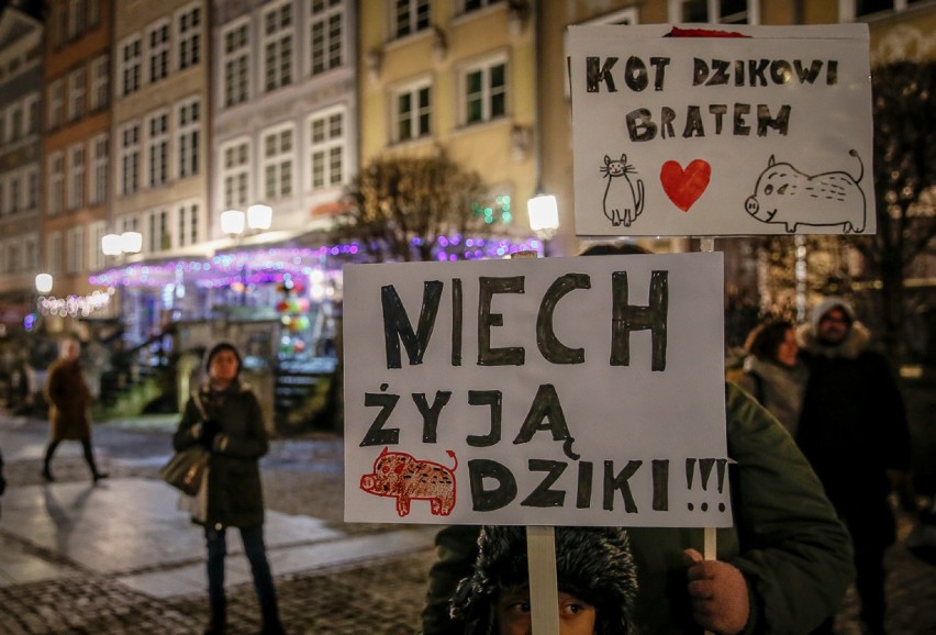 Gdański protest przeciwko masowemu odstrzałowi dzików,...