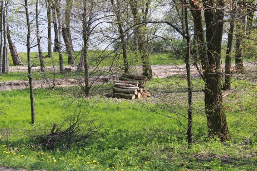 Wenecja Gniezno. Postęp prac związanych z rewitalizacją...