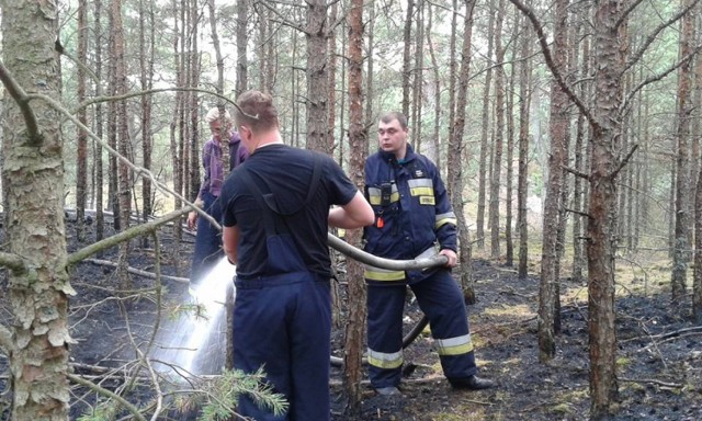 Pożar w Juracie. Obok ośrodka Muza palił się las