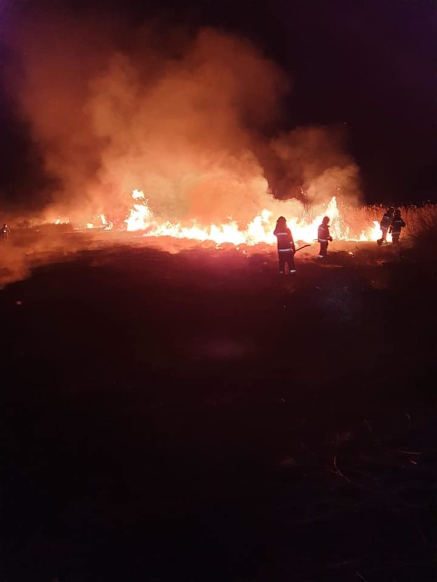 Andrzej Sieradzki jest wdzięczny strażakom za udział w akcji...