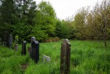 Tajemniczy Ogród w Bielsku-Białej powstanie w części cmentarza żydowskiego