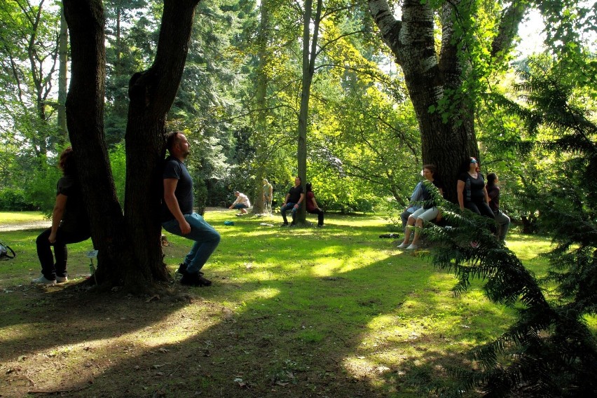 Lublin. Spacer z przewodnikiem i piknik japoński w Ogrodzie Botanicznym UMCS