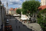 Gdzie pojechać, żeby móc oddychać świeżym powietrzem? Ranking miast w Polsce