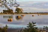 Zalane pola i łąki w powiecie łęczyckim (ZDJĘCIA)