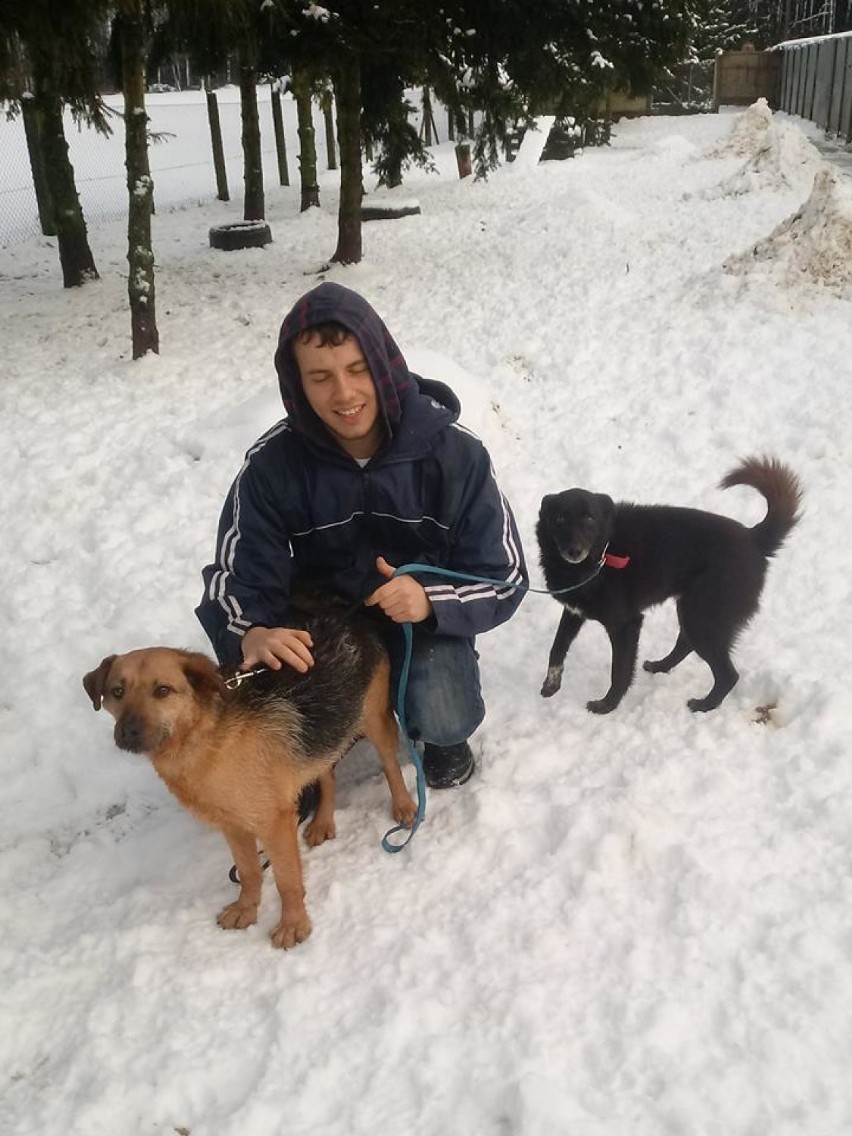 Zimowe spacery z podopiecznymi schroniska dla psów w Złotowie