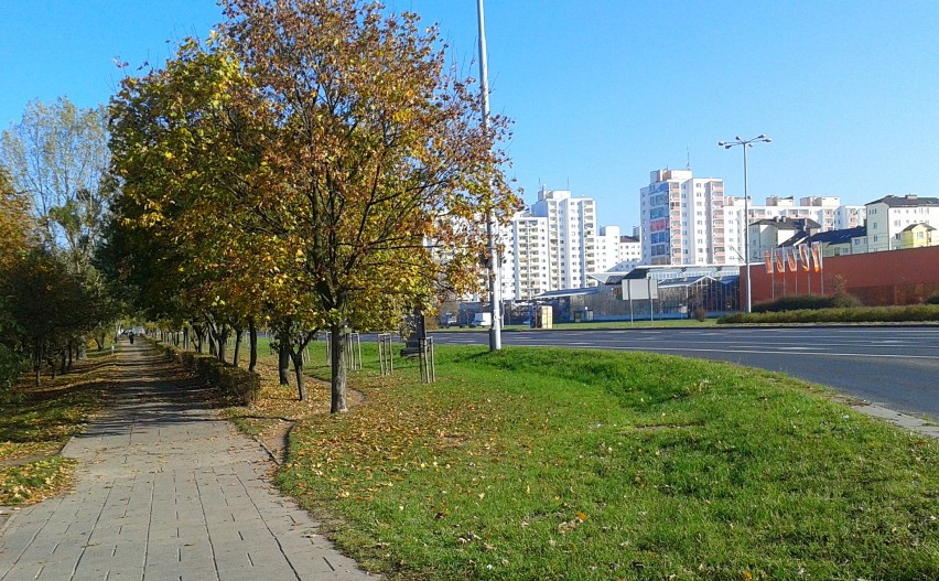 Jesienny Toruń 2014 (10)