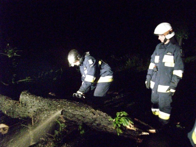 Usuwanie konarów kasztanowca na drodze między Stradyniem a Solcem przez strażaków z OSP Kębłowo