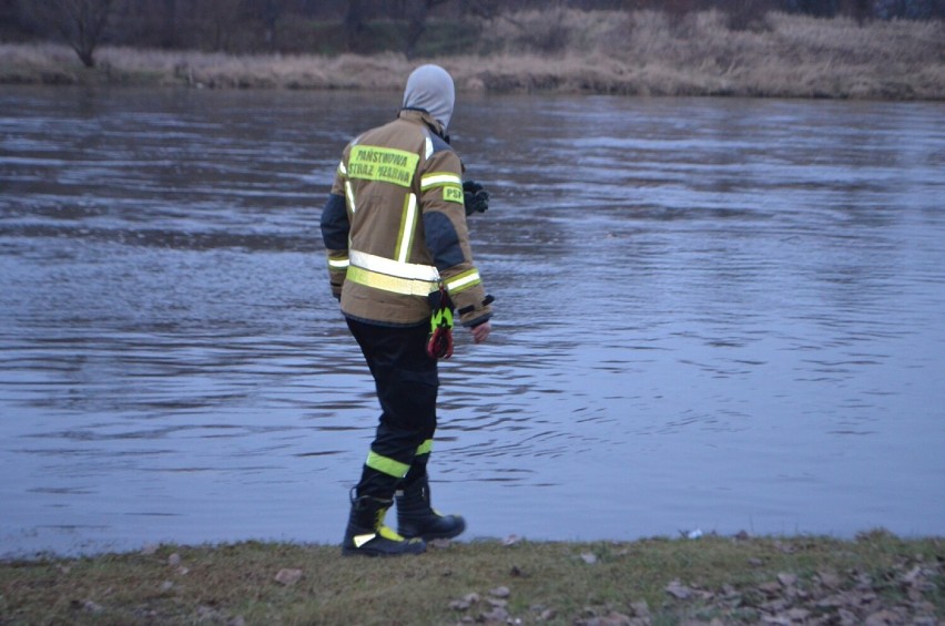 Od piątku, 10 lutego wciąż trwa akcja poszukiwawcza