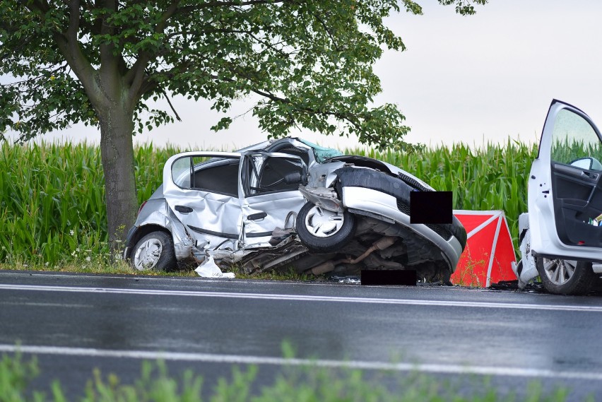 Śmiertelny wypadek na piątce pod Lesznem. Nie żyje mieszkanka Poznania