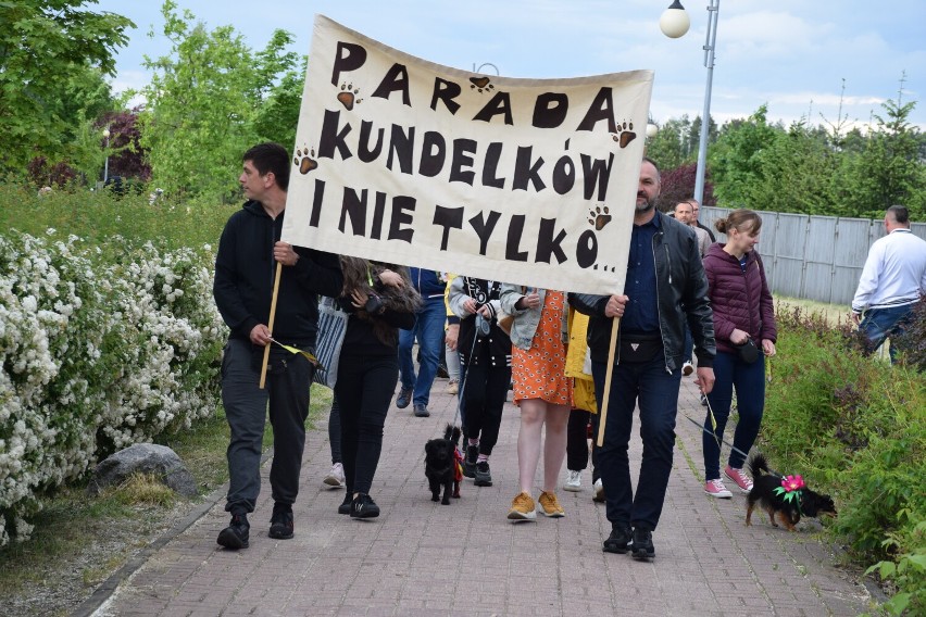 Światowy Dzień Miłośników Psów. Mieszkańcy Konina ze swoimi pupilami. Oto oni! [ZDJĘCIA]