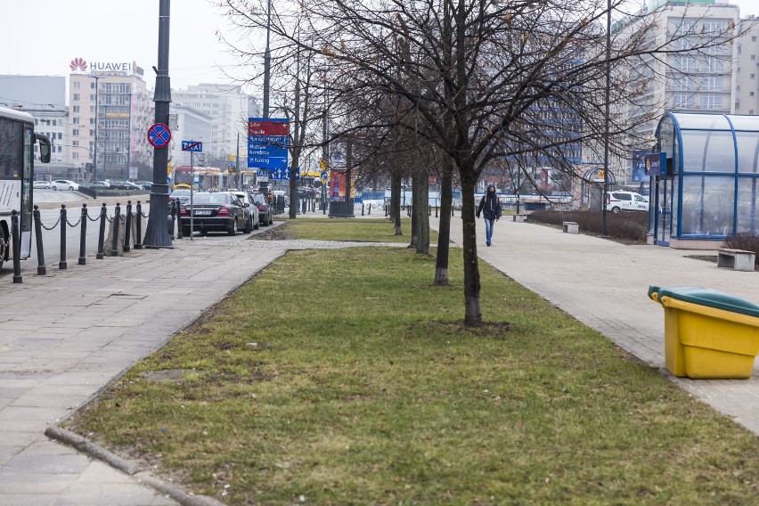 Niebawem rusza budowa ścieżki rowerowa na ulicy Marszałkowskiej. Prace mają zakończyć się do lata