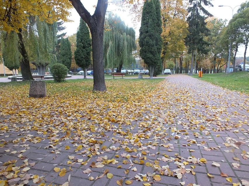 Jesień w dzielnicy fabrycznej Kraśnika