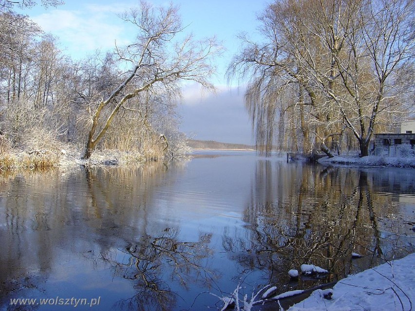 Zima w Wolsztynie w 2005 r.