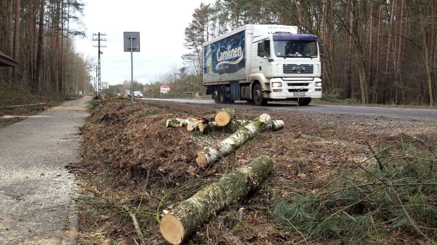 W lutym 2017 roku wzdłuż dałej drogi nr 160 wycięto drzewa....