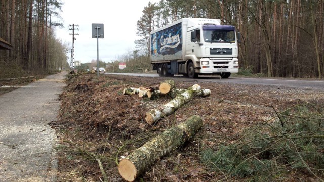 W lutym 2017 roku wzdłuż dałej drogi nr 160 wycięto drzewa. Miało to być przygotwanie do remontu.