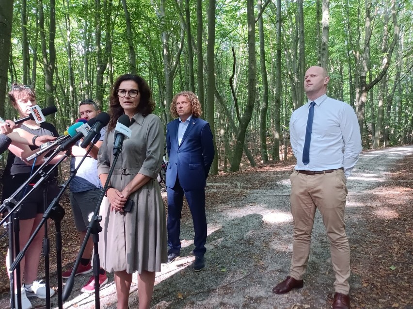 Włodarze Trójmiasta: "Lasy Państwowe chcą ukryć zwiększone wycinki drzew". Leśnicy: "Realizujemy plany poprzedniego rządu"