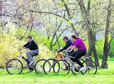 Dolny Śląsk: Zapraszamy na rowery! (TRASY)