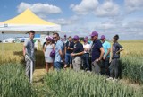 Powiat chodzieski: Rolnicy uczestniczyli w Dniach Pola [FOTO]