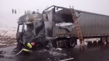 Pożar ciężarówki na trasie S3 koło Międzyrzecza [ZDJĘCIA]