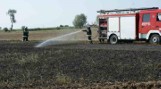 Pożar w Brzekińcu. Palił się hektar pola