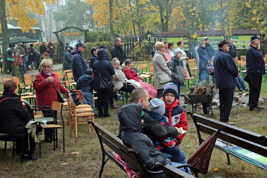 Koncert Reprezentacyjnej Orkiestry Dętej Lasów Państwowych w...