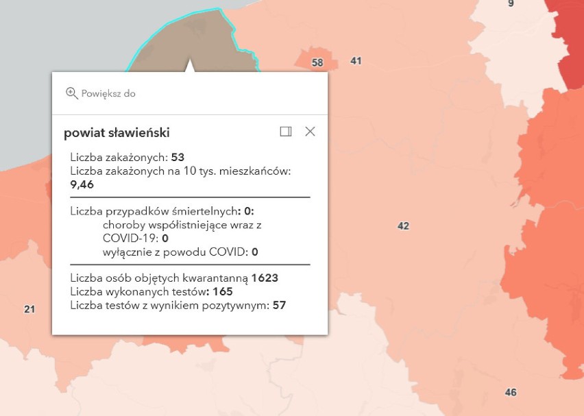 24.01.2022 r. - pandemia