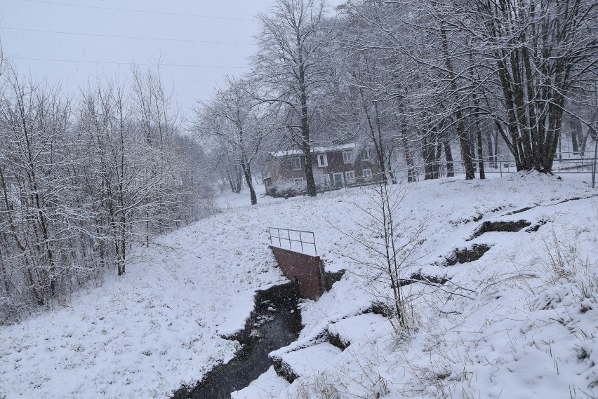 Zima w Zielonej Górze, 9 marca 2023 r.
