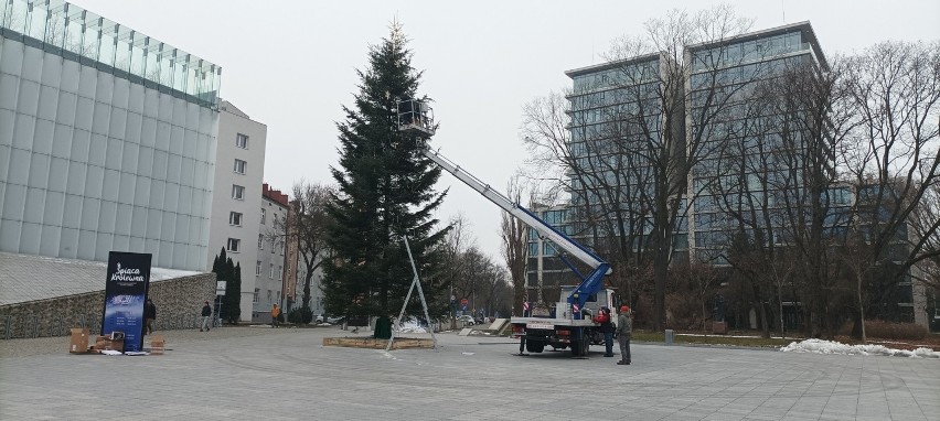 Bożonarodzeniowa 20-metrowa choinka stanęła w centrum Lublina
