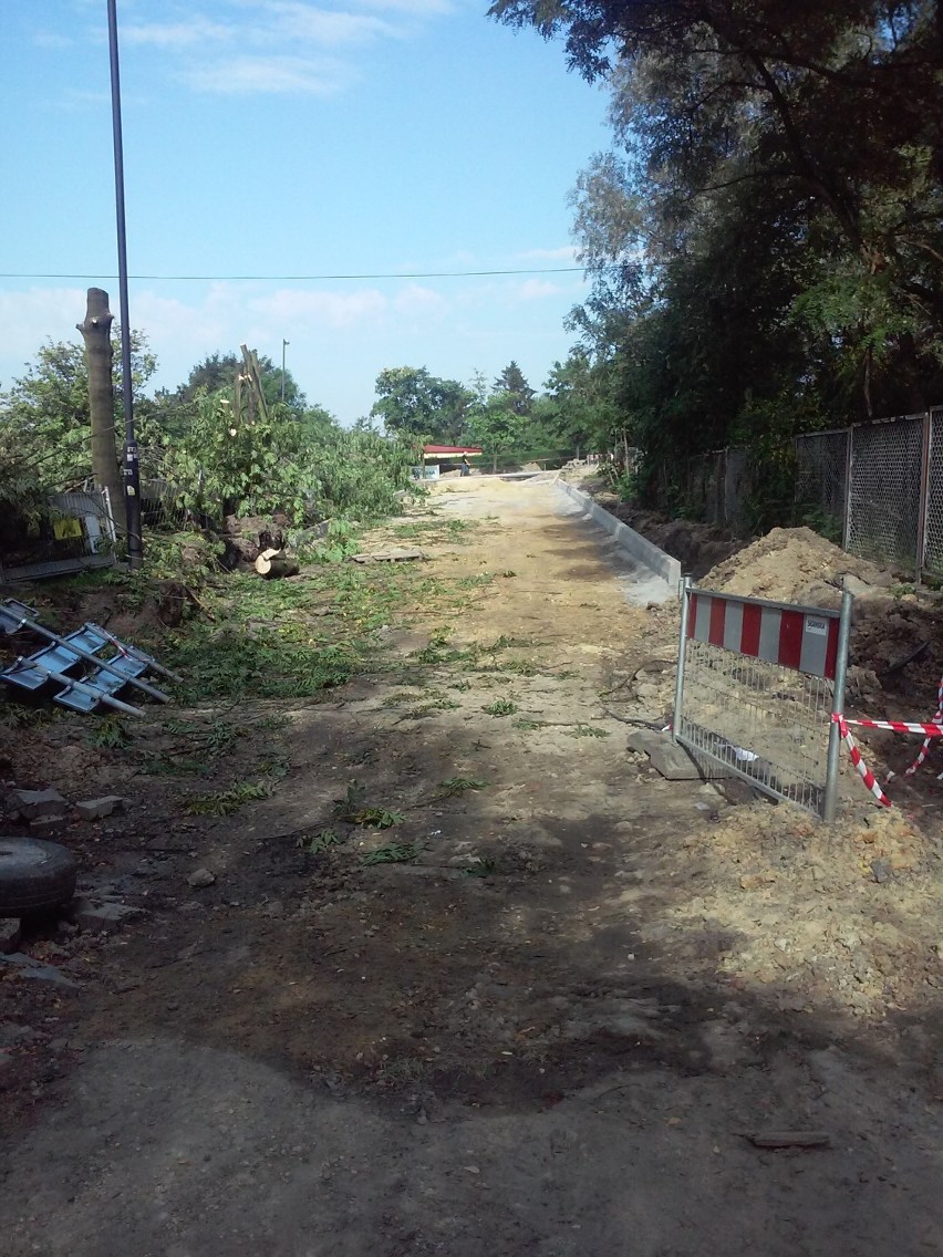 Piaśniki: Drzewa, które hamowały budowę łącznika Zubrzyckiego i Korfantego, zostały już wycięte