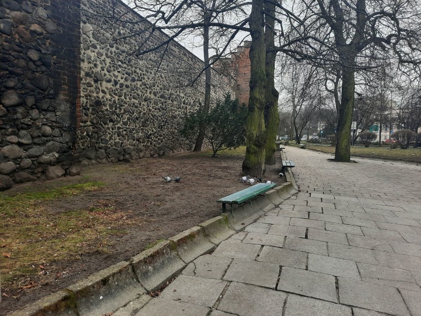 Skwer przy murach jest jednym z kultowych miejsc w Gorzowie.