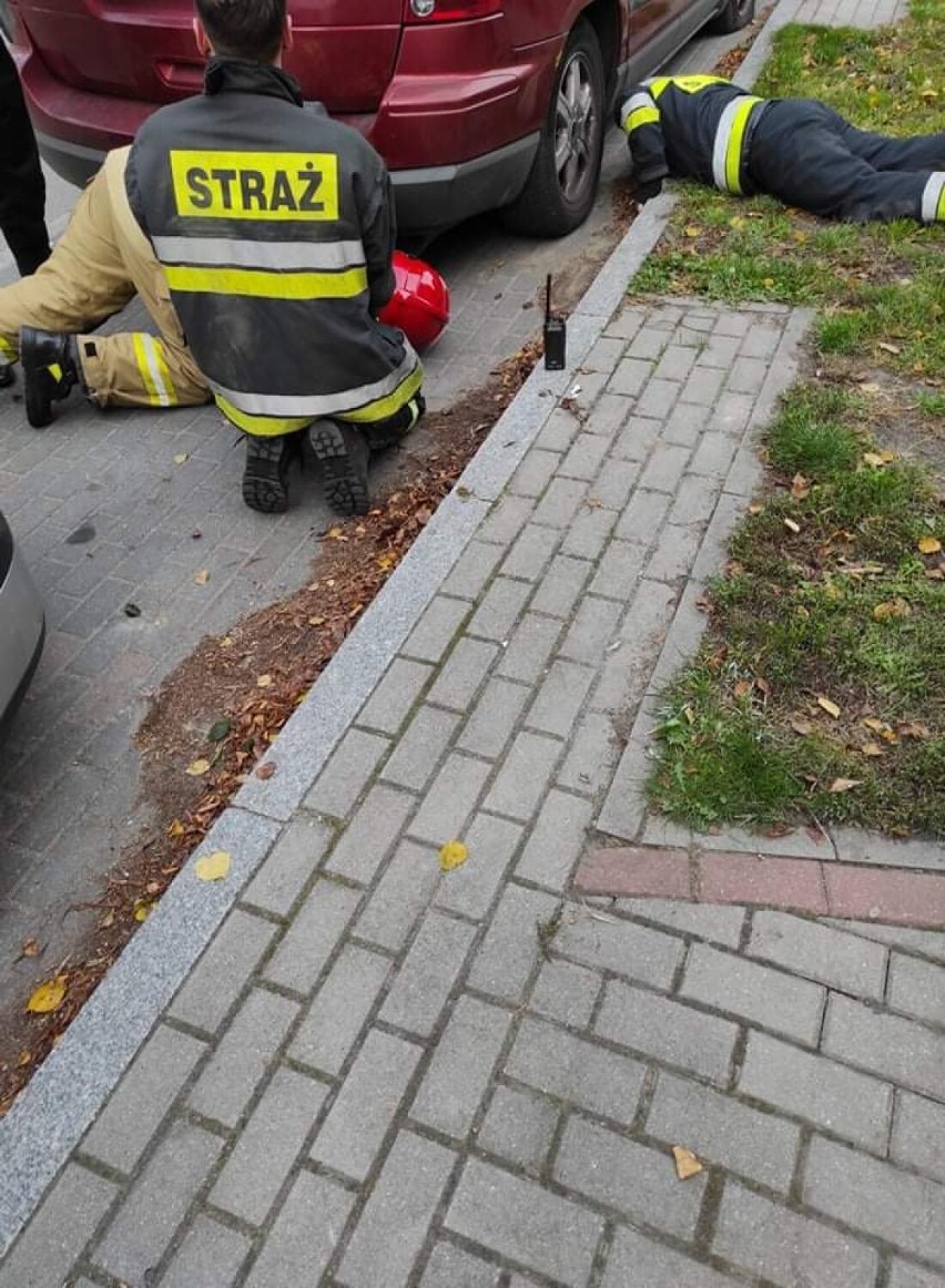 Kotek w komorze silnika auta. Uratowali go strażacy ze Szczecinka [zdjęcia]