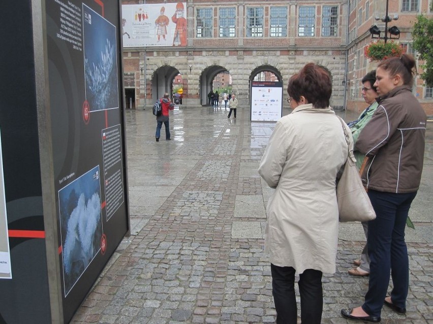 Obraz naszej rzeczywistości - Wystawa React For World na na Długim Targu w Gdańsku [ZDJĘCIA]