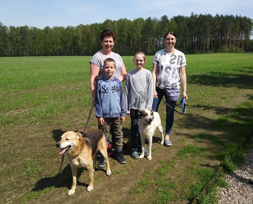 Tego jeszcze nie było! Wszystkie psy wyszły na spacery [ZDJĘCIA]