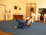 Nasi judocy mają szanse na start w igrzyskach olimpijskich w Rio de Janeiro