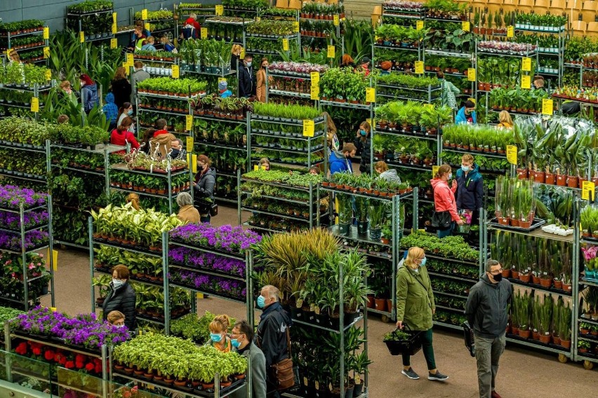 Przedwiośnie w Hali MOSIR w Radomiu - największy targ roślin...