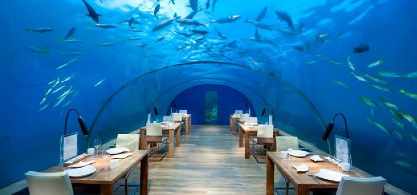 Takich podwodnych restauracji na świecie jest kilka. Ta, ze...