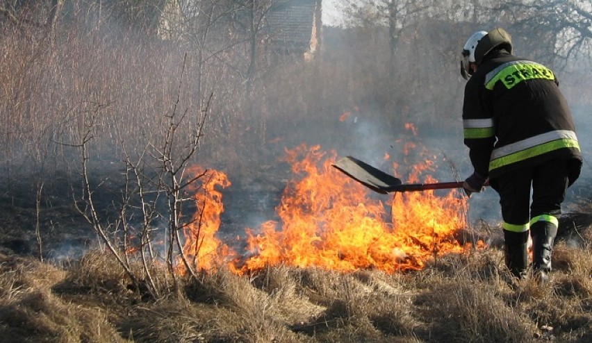 Pożary traw. Straż pożarna walczy z wypalaniem łąk i nieużytków