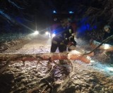 Zima w powiecie gdańskim. Powalone drzewa zagradzają drogi. Strażacy pracują w dzień i w nocy |ZDJĘCIA