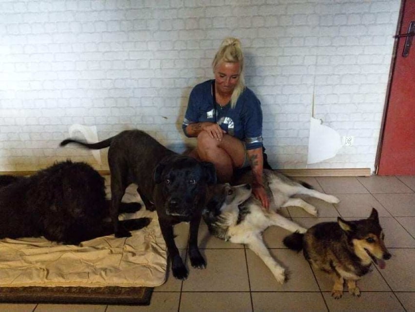 Przez wiele lat pomagała zwierzętom, teraz sama potrzebuje pomocy. W sieci trwa zbiórka na leczenie i rehabilitację Ewy Górskiej