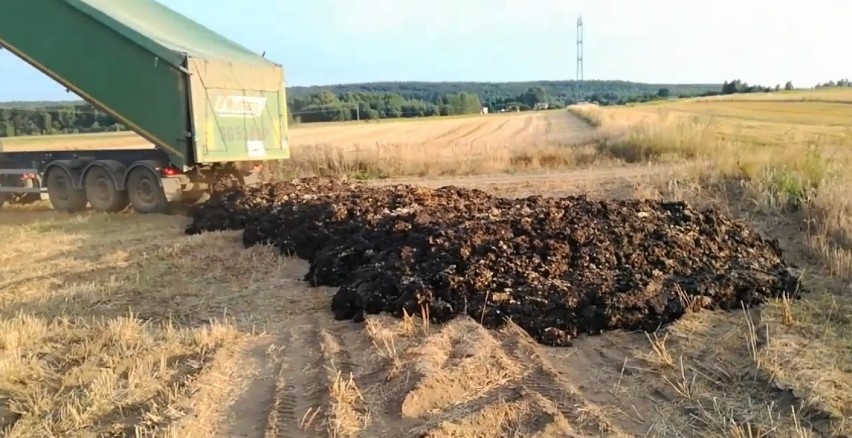 Firma w Gliwic zwozi śmierdzące osady z oczyszczalni ścieków...