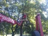 Urząd Miejski w Kaliszu: Trwają jesienne nasadzenia drzew i krzewów